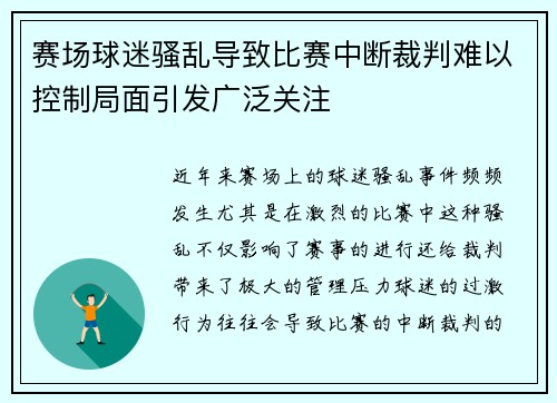 赛场球迷骚乱导致比赛中断裁判难以控制局面引发广泛关注