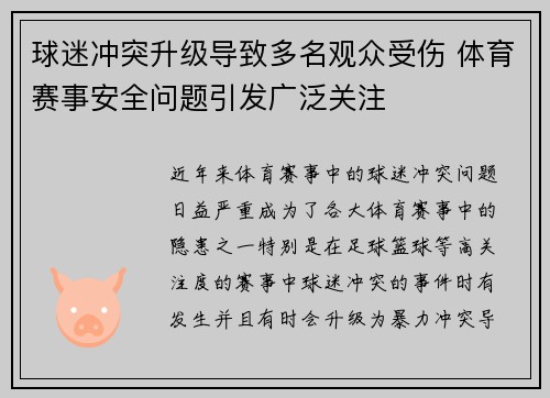 球迷冲突升级导致多名观众受伤 体育赛事安全问题引发广泛关注